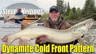 Dynamite Cold Front Pattern