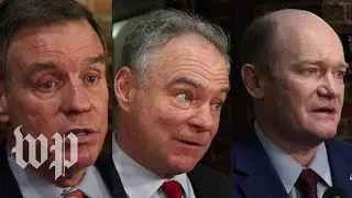 &lsquo;It is beyond scary&rsquo;: Lawmakers react to Mattis&rsquo;s resignation