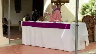 Sunday Mass at St. Francis with Fr.James 12/13/2020