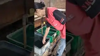 Electroless Nickel-Phosphor Process