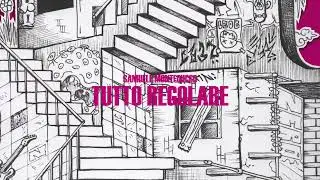 Samuele Montecucco - TUTTO REGOLARE (Album visual)