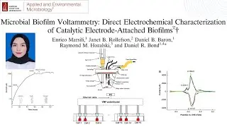 Microbial Biofilm Voltammetry: Direct Electrochemical Characterization of Anode Biofilms