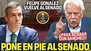 FELIPE GONZ&Aacute;LEZ VUELVE al SENADO💥&iexcl;Y SE VENGA DE S&Aacute;NCHEZ TRAS LA ENTRADA EN PRISI&Oacute;N DE &Aacute;BALOS!💥