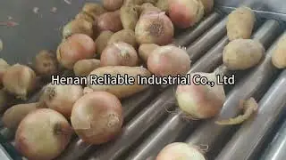Onion Cleaning Machine, Onion Removal and Peeling Grading Line #onion #processing #machine