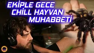 Elraen Ekiple Gece Eski Karınca Çiftliğim Videoları Eşliğinde Chill Muhabbet