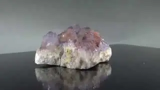 Cactus Quartz Ametrine