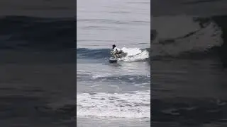 s u r f i n g  v i b e s   @Goa