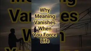 Why Meaning Disappears When You Try to Control Life &ndash; Alan Watts