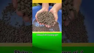 T&ocirc;i Đ&atilde; Thử Sử Dụng Ph&acirc;n Nở Cho C&acirc;y V&agrave; Đ&acirc;y L&agrave; Điều Xảy Ra