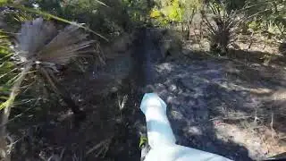 Perfect Weather for Trail Riding 2-4-2026----001 D