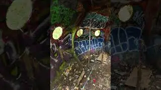Sauvie Island UFO, 6k, vertical