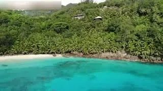 Pihla