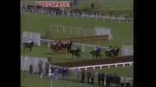 1993 Sun Alliance Chase