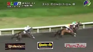 FROM GATE TO WIRE 👍PUGAD LAWIN🐎HUMBLE RICHES🐴THAT IS MINE🐎