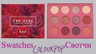 FEM ROSA palette Colourpop. Свотчи. Swatches