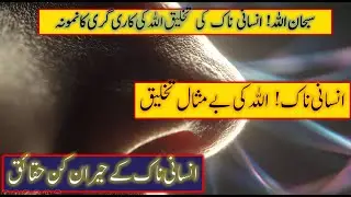 SubhanAllah! The Miracles of the Human Nose | Allah's Signs in Our Bodies | Quran & Science