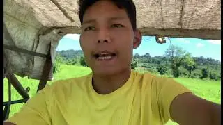 VHow Villager Earn Their Livehood // Arunachal Village Boys Life After Graduated 😳