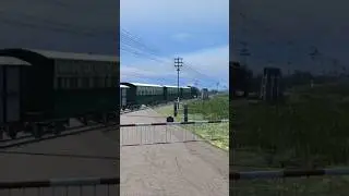 PJKA F10 Steam Loco Ft Mixed Train | Lokomotif Uap F10 Menarik KA Campuran | Trainz 2022