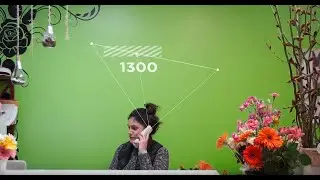 Alltel Inbound Business Numbers