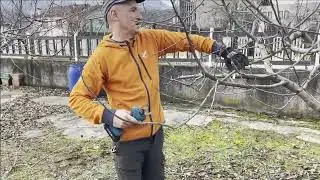 ORDINIAMO LE BRANCHE POTATURA DEL MELO