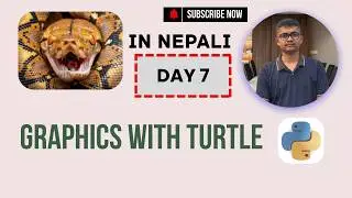 Graphics with Turtle | Turtle in Python | Day 7 | Beginners Series Level 2