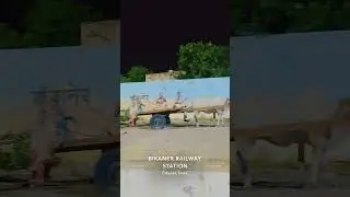 Rajasthan culture #culture #bikaner