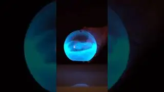 The bioluminescent plant-plankton (algae) in the Bio-Orb - All Natural