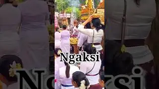 ngaksi pecaruan sasih kanem #blibuda #bali #2025 #sempidi