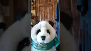PANN PANN'S DOES A BACKFLIP! PANDA DOES EPIC BACKFLIP??  | JustinTalksPuppets