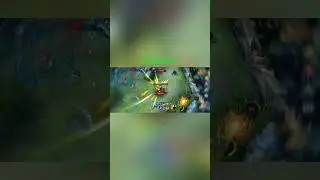 Masha Highlights