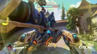 Lunch has been served in Eichenwalde