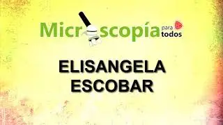 Microscopia Inspira #4 - Experiencias de Bolivianos exitosos en el exterior