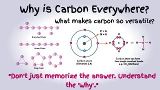 Why is Carbon Everywhere? The Versatile Nature of Carbon Explained! #Catenation #Tetravalency