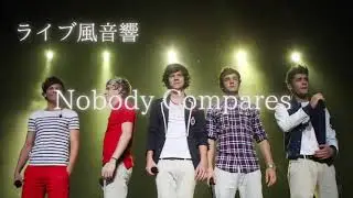 【ライブ風音響】One Direction - Nobody Compares