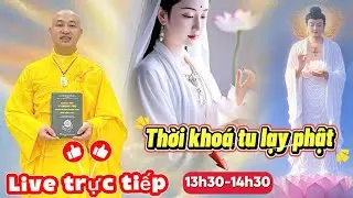 Trực Tiếp Lễ Phật 13H30 #thaynhuanthinh #layphat #niemphatthanhphat #loiphatday