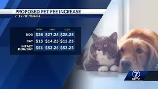City council proposes pet licensing fee increase for Omaha residents