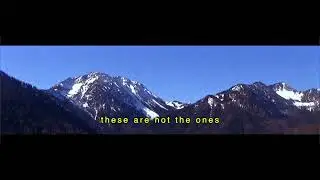 Prohibition Prohibition - Columns (Official Video)