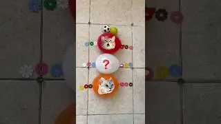 Popping balloons with colorful water and beads 🎈💦✨😺😻😸 #poppballons #balloon #asmr #cat
