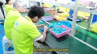 Livestock Sheep Goat Tag Identification Signage Animal Feeding Device Swine Cattle Ear Tags