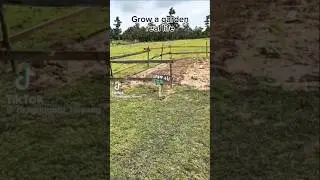 Grow a garden but real life #growagarden #roblox #trending #robloxanimation #robloxedit