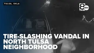 Were community activists targeted by tire-slashing vandal?