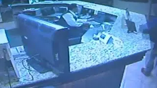 Surveillance: Hotel robbery in Independence