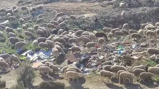 4 de febrero de 2025