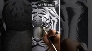 Mastering realistic tiger sketch techniques/sketch tutorial