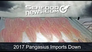 2017 Pangasius Imports Down