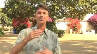 Environmental Health  : How to Prevent Acid Rain