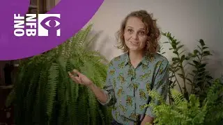 Meet the Makers | Marta Pajek on Impossible Figures and other stories I