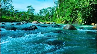Experience ultimate relaxation and serenity as you watch this Mountain River Waterfall Flowing#52