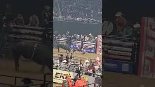 PBR Edmonton Alberta Nov 8 2024