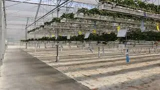 Hoistable gutters at Research Centre Hoogstraten